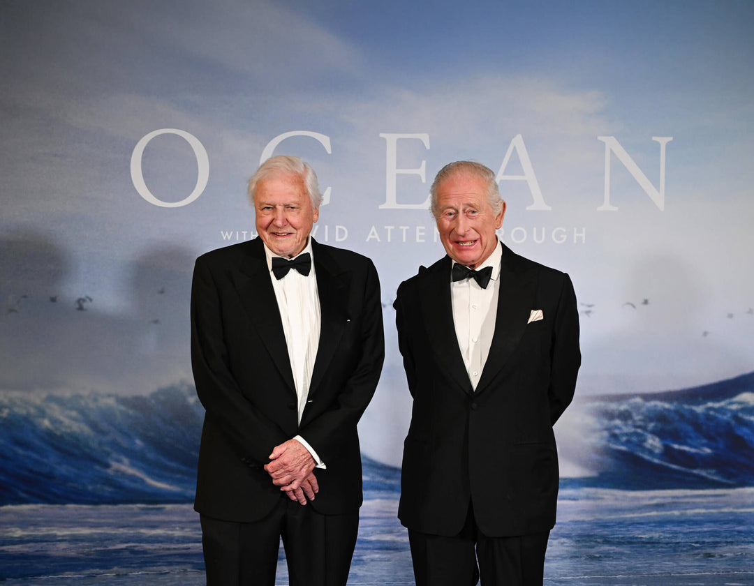 Arksen Joins Attenborough for Ocean Film Premier