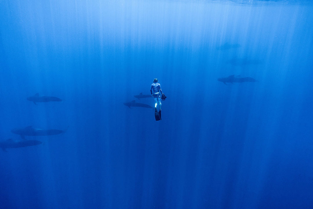 The Power of Business on Earth Day