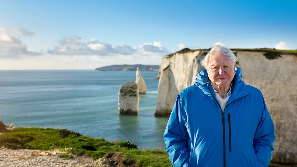 Ocean with David Attenborough – Behind the Scenes