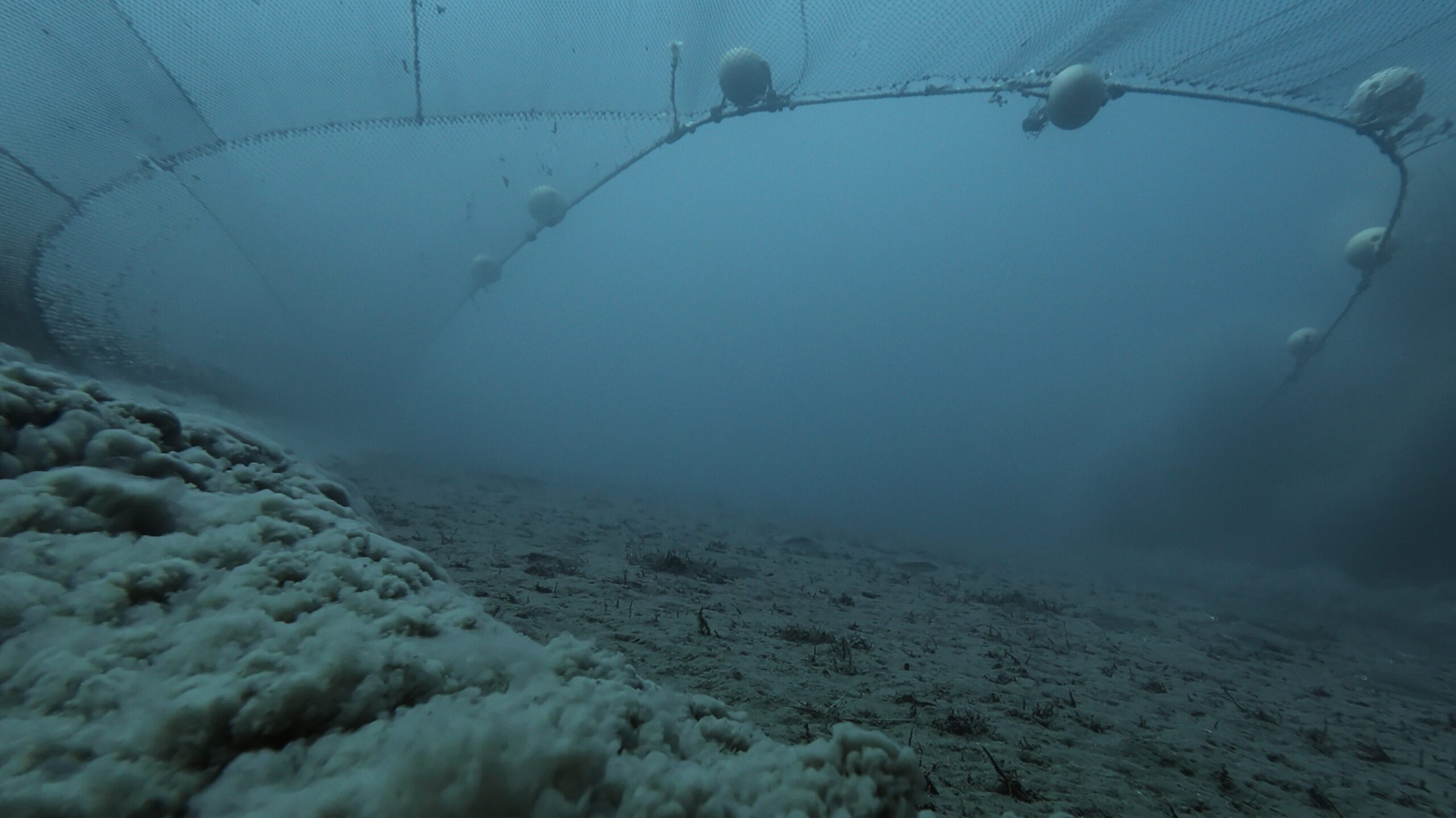 Bottom trawling on the ocean floor