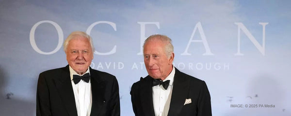 A successful year of shows and screenings