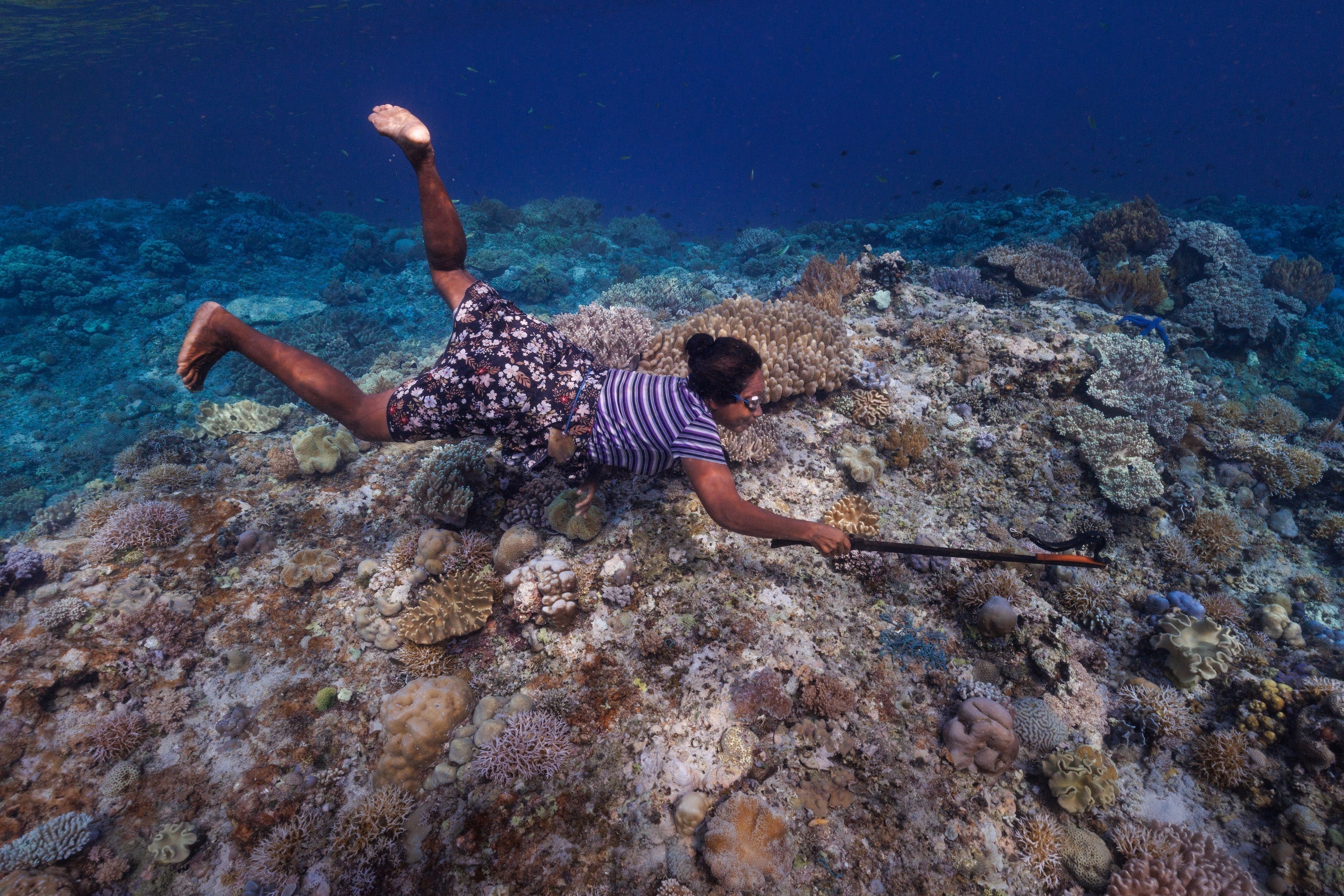 The Wawata Topu freedivers and the protection that could save them