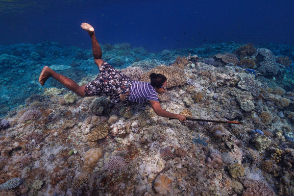 The Wawata Topu freedivers and the protection that could save them