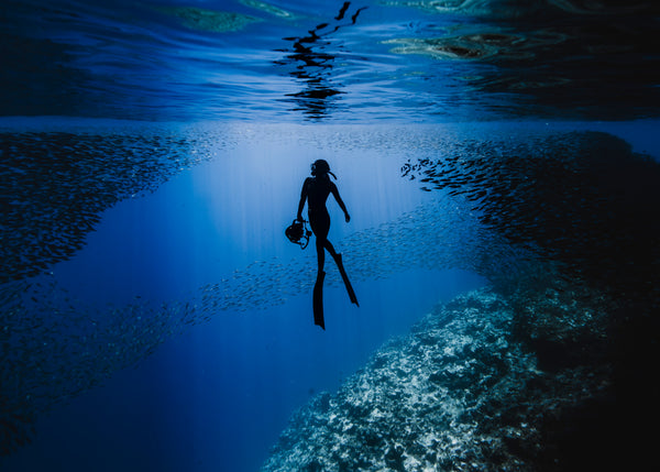 Tonga Dive Adventure