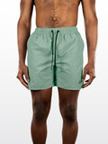 Litchen Green