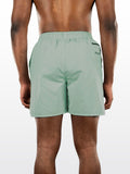 Litchen Green