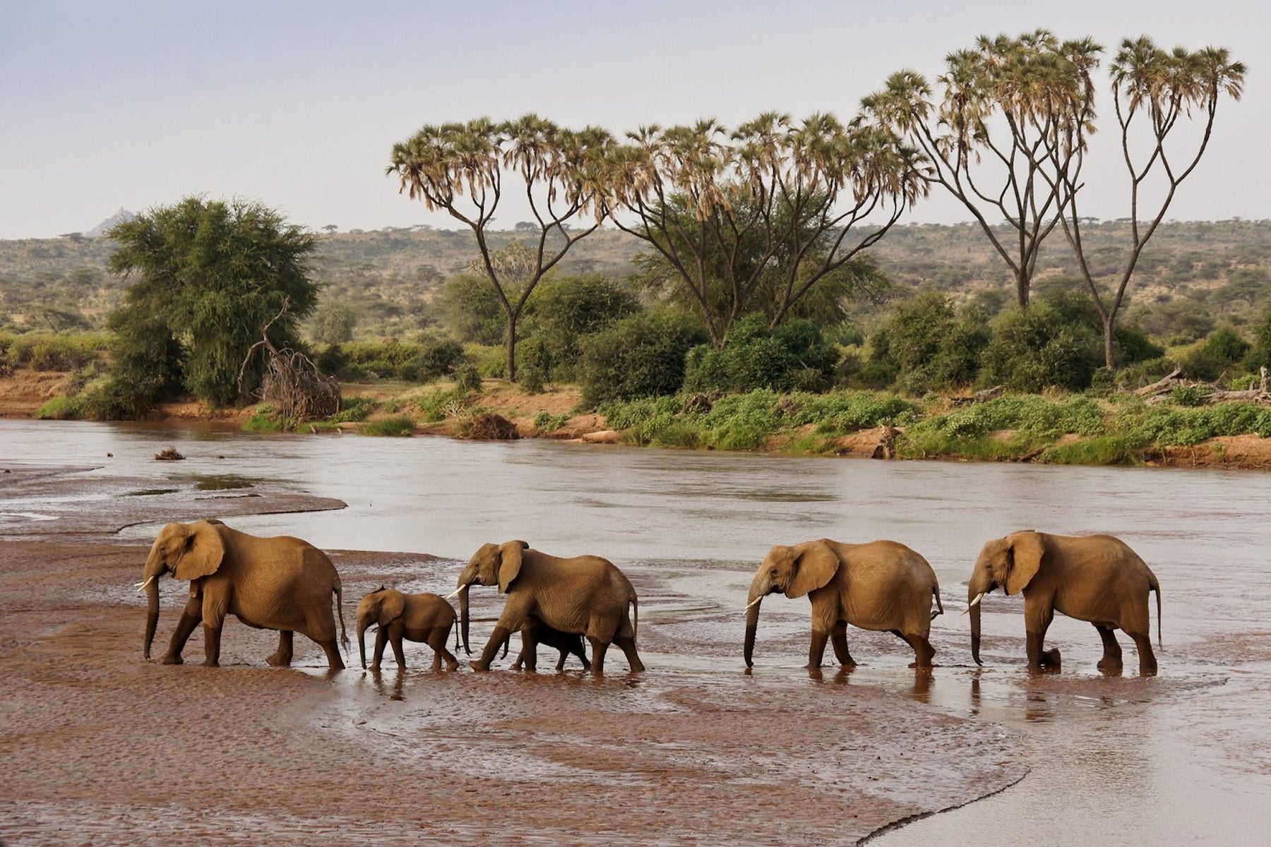 North Kenya Conservation Safari