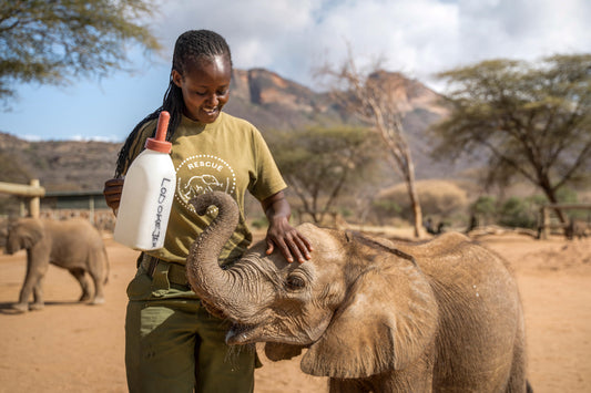 North Kenya Conservation Safari