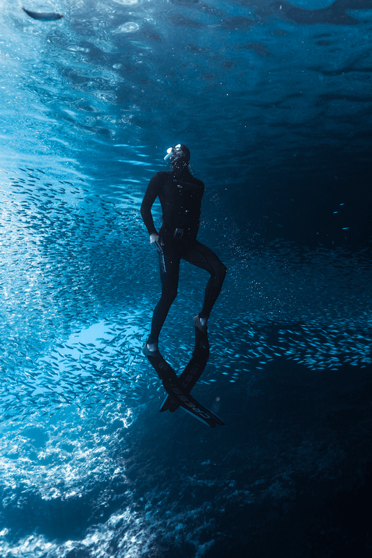 Tonga Dive Adventure