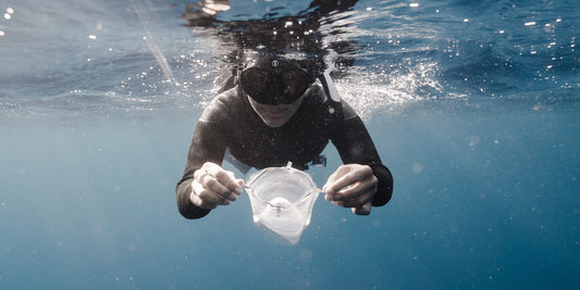 Ocean Fellowship
